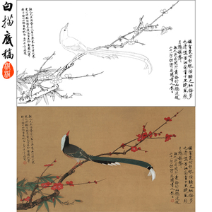 工笔画白描底稿于非闇《红梅鹧鸪》花鸟梅花线描稿中国画白描FZ02