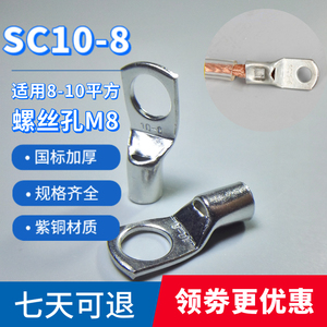 SC10-6 10-8 10-10紫铜国标加厚铜线耳窥口接线端子冷压铜鼻子
