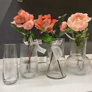 IKEA宜家卡拉夫提瓦顿小清新透明玻璃花瓶装饰摆件瓶子国内代购