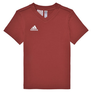 Adidas/阿迪达斯男童装休闲运动短袖T恤酒红色2024夏季新款HC0446