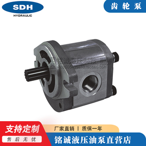 SDH上海大众CBD-F3系列齿轮泵CBD-F306/08/10/12/14/16/20/25油泵