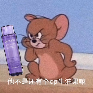 黛珂Decorte紫苏精华水150ml/300ml化妆水乳去痘闭口粉刺控油