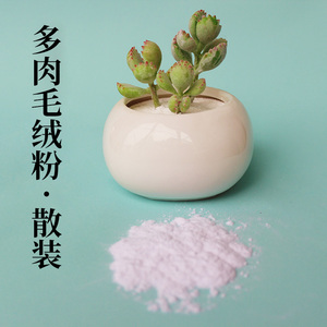 树脂粘土软陶泥仿真多肉毛绒粉仿真植物白色毛绒粉效果散装一斤 阿里巴巴找货神器