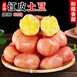 云南红皮大土豆10斤新鲜蔬菜高山黄心洋芋马铃薯原种农家特产包邮