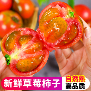 铁皮草莓柿子5斤当季新鲜西红柿生吃水果碱地盘锦绿腚番茄蔬菜3斤