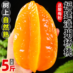 福建漳州甜杨桃6斤新鲜水果整箱应当季洋桃鲜果红扬桃五角星阳桃