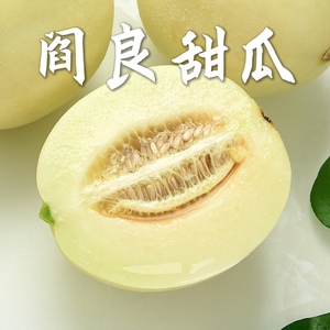 陕西阎良甜瓜 小籽甜瓜头茬香软蜜瓜新鲜水果2/9斤包邮香瓜