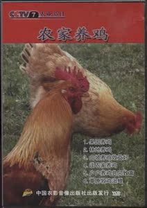 山林果园散养土鸡技术 鸡病防治 山区柴鸡养殖 蝇蛆养鸡 视频书籍