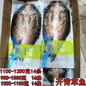 开背草鱼新鲜冷冻烤鱼1.8-2.5斤活杀大混子鱼水产整条纸包鱼商用