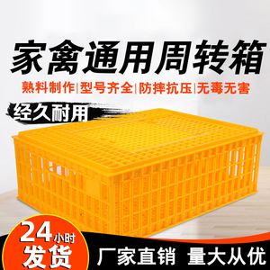 鸡笼周转箱鸡笼子运输养殖塑料家用大号鸡用运输筐加厚鸡鸭鸽子笼