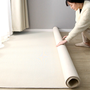 纯色地毯满铺工作室摄影棚毛坯水泥地整铺米白奶油风卧室客厅地垫