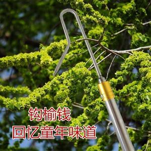 勾槐花钩子香椿芽榆钱果树工具超硬不锈钢采摘升缩杆摘水果神器