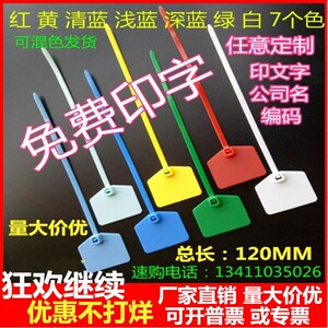 塑料封条尼龙标签网线电线标识标记理线标牌扎带铅封吊牌长12CM