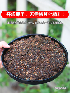 【新绿】包邮大袋 专用土多肉绿植花卉养殖土配营养土配方土好土