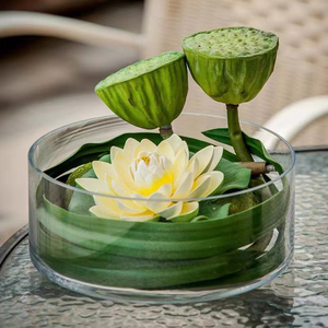 桌面玻璃花瓶透明水养插花宽口矮胖大口花器餐桌高端创意简约摆件