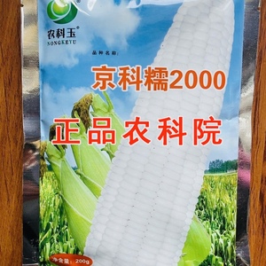 京科糯2000白色糯黏粘玉米种子中国北京农科院络芙特万甜蔬菜500g