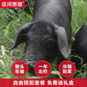 徒河黑猪整头年猪毛重约150斤散养新鲜净重88.6斤土猪组合