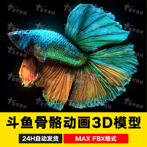 3dmax c4d写实热带鱼斗鱼金鱼鱼类彩色带骨骼动画动作3D模型maya
