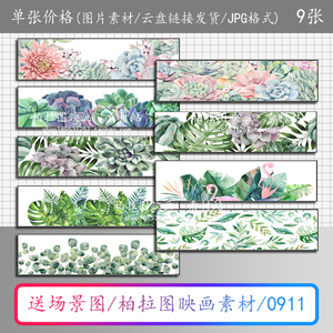 北欧现代简约绿植横幅花卉客厅餐厅卧室床头装饰画图片画芯素材