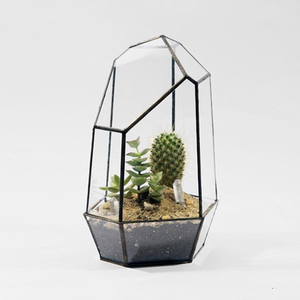 简约永生花多肉植物玻璃花房罩微景观花器创意花盆容器装饰摆件