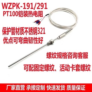 铠装热电阻PT100进口测温芯WZPK-191可弯曲耐腐蚀铂热电偶PT1000