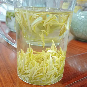 黄金芽奶白茶极白2024年安吉茶树品种珍稀白茶叶新茶明前特级皇金