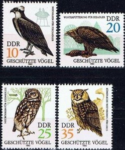 民主德国东德1982年邮票 鸟类 猛禽 猫头鹰 动物 4全新原胶全品