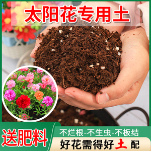 太阳花专用土养花通用型土壤种植土椰砖家用花泥花盆松土培养土
