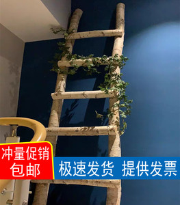 北欧白桦木树干艺术装饰白桦树装饰梯子原木梯子摆件卧室影楼拍摄