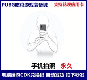 PUBG绝地求生手机拍照的动作表情皮肤steam吃鸡兑换码CDK端游秒发