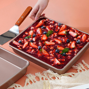 做提拉米苏容器托盘不锈钢长方形器皿专用方盘网红蛋糕烤盘铁盒子