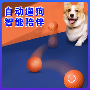 跳跳球小狗狗奶狗玩具球电动自动遛狗神器逗狗会动的自嗨解闷充电