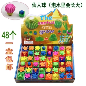 仙人掌泡水膨胀植物会长大的仙人球仿真新奇小玩具一盒48个包邮