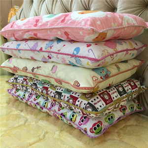 凤千儿儿童枕头6-10岁学生幼儿园宝宝枕送全棉枕套卡通小孩子枕芯