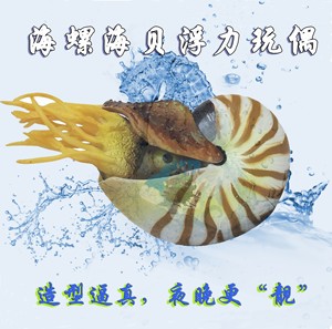 海洋生物鹦鹉螺贝壳玩偶儿童小孩洗澡戏水模型摆件潜水爱好者玩具