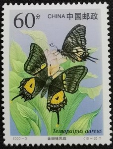 2000-3国家重点保护野生动物邮票一 10-2喙凤蝶60分 单枚邮票