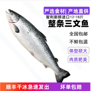 智利进口冷冻三文鱼整条大西洋鲑鱼三文鱼刺身生鱼片即食海鲜包邮