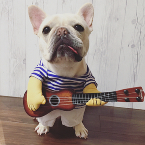 巴哥搞笑衣服 宠物狗狗吉他手变身装搞怪法斗搞笑弹吉它衣服猫腻