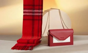 欧瑞莲联名款11月活动新品信封包羊毛毯斜挎包链条包磁扣欧美时尚