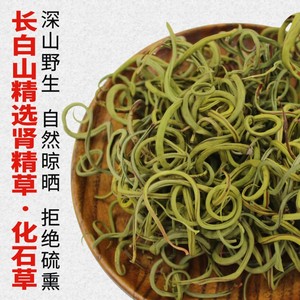 肾精草长白山精选肾精茶黄金草嗷嗷叫东北野生小叶化石草石苇草