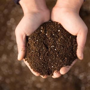 多肉土仙人球营养土颗粒土专用土花草植物土壤肥料园艺用土种菜