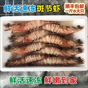 鲜活速冻野生斑节虾急冻基围虾海鲜水产九节虾冻虾1斤8只竹节虾