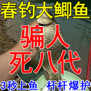 春季鲫鱼饵料野钓专用主攻大板鲫鲤鱼黑坑水库池塘必爆护腥香窝料