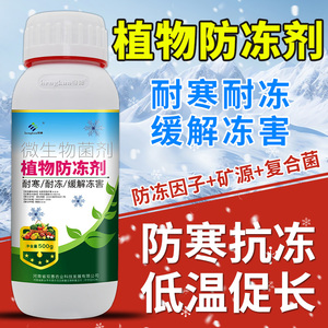 植物防冻剂冬季抗寒防冻液冻害保护液枇杷茶叶辣椒柑桔果树通用