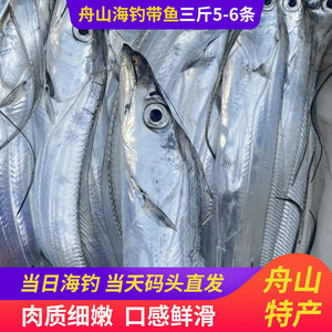 舟山海钓带鱼3斤新鲜野生水产鲜活 小眼整条特级大东海刀鱼油带鱼
