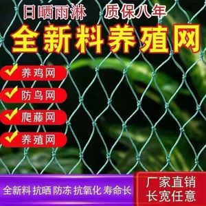 果园天网防鸟网池塘防鸟网庭院樱桃防阳台多肉防鸟网养殖果树葡萄