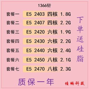 Intel 至强 E5-2403 2407 2420 2430 2440 2450 2470 CPU正式版