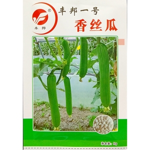 丰邦一号香丝瓜种子短型丝瓜烧汤不黑20-25厘米种籽白色5克约40粒