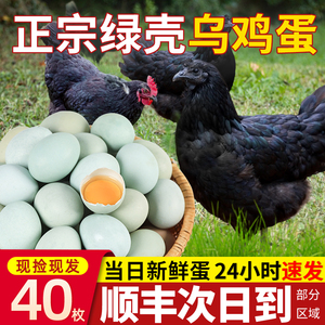 鸡蛋新鲜乌鸡蛋40枚正宗绿壳蛋绿皮土鸡蛋30农家散养草鸡蛋60整箱