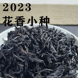 福建红茶2023新茶花香小种南平松溪红茶散茶茶叶100g袋装